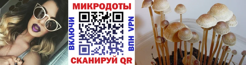 Галлюциногенные грибы Psilocybine cubensis  Хабаровск 