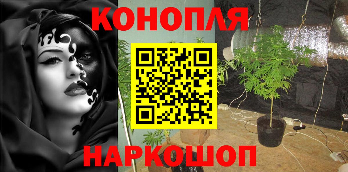 Шишки марихуана план Хабаровск